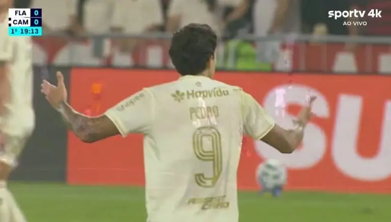 pedro flamengo
