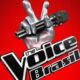 the voice