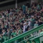 torcida chapecoense