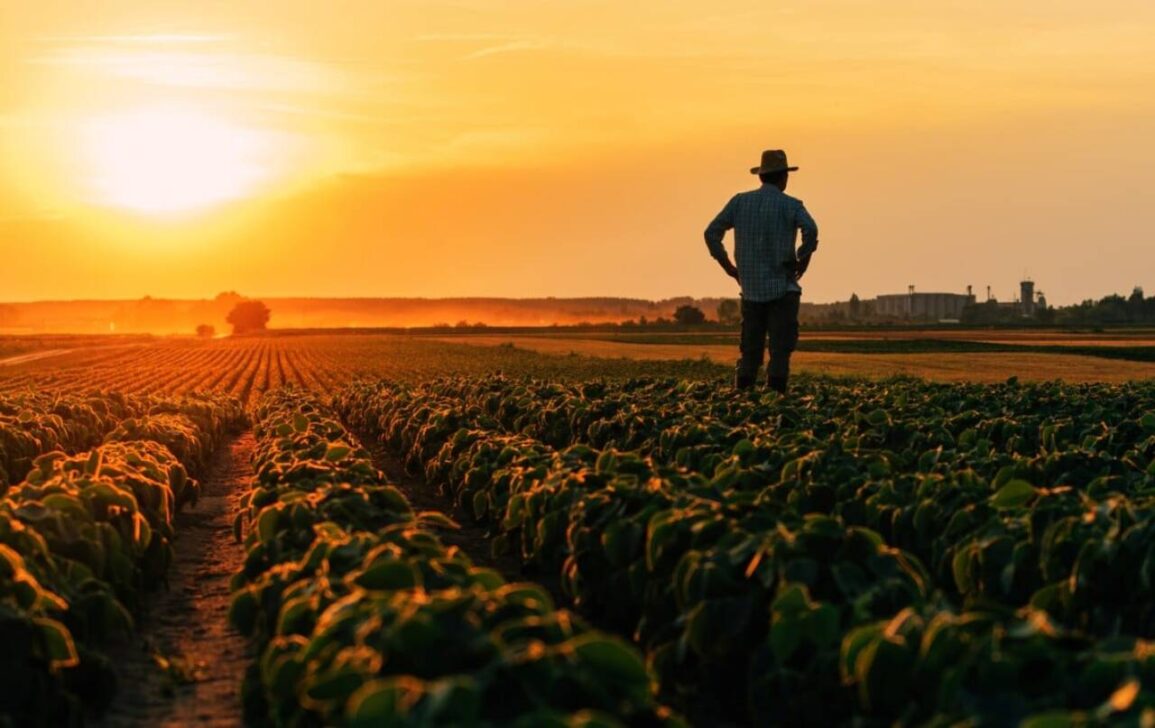 Agricultor masculino em pé no campo de soja