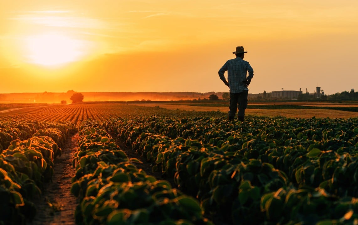 Agricultor masculino em pé no campo de soja