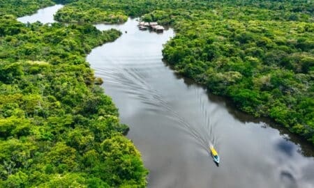 Amazônia