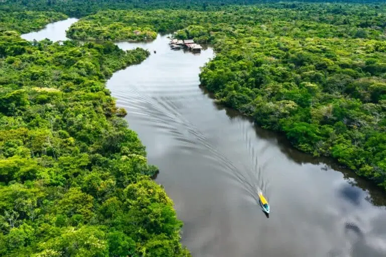 Amazônia