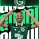 Anselmo Ramom Goiás
