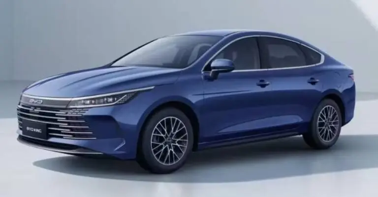 BYD King