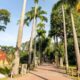BioParque do Rio