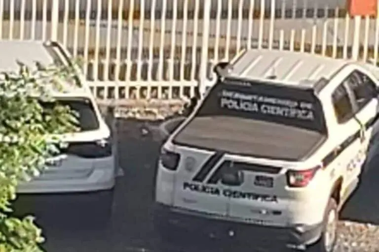 Criança de 4 anos morta