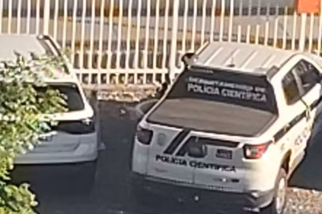 Criança de 4 anos morta