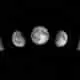 Fases da Lua