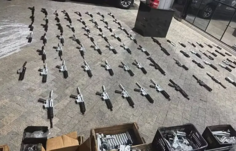 Fuzis facções
