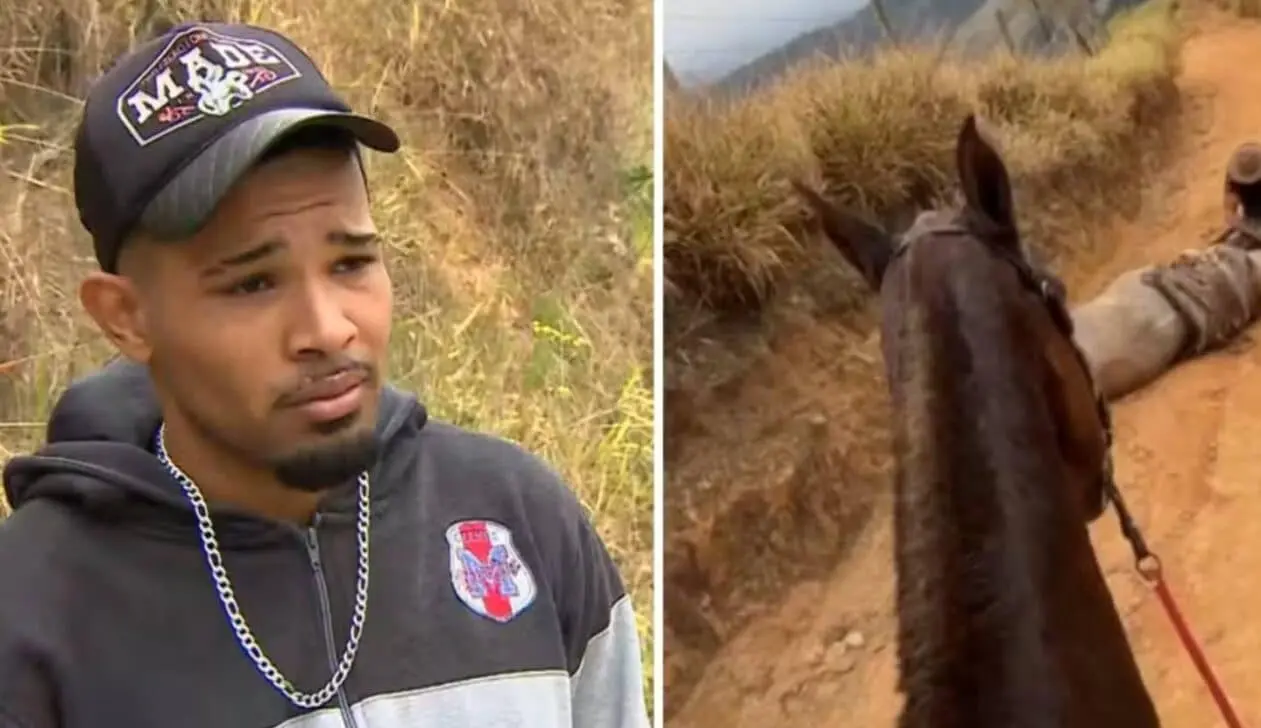 Homem cortou pata do cavalo
