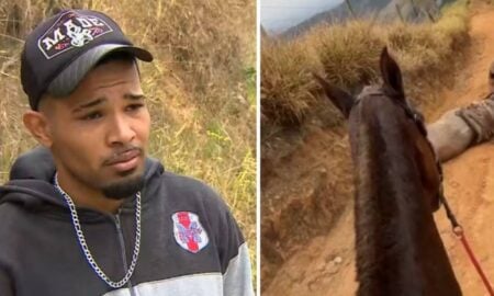 Homem cortou pata do cavalo
