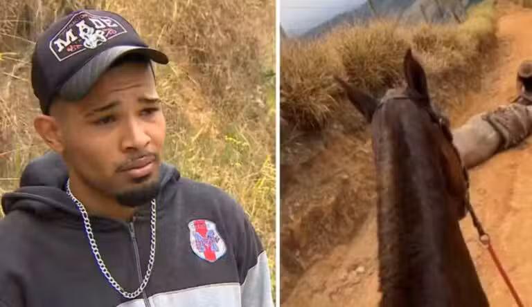 Homem cortou pata do cavalo