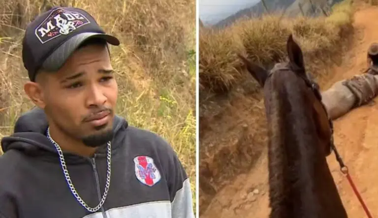 Homem cortou pata do cavalo