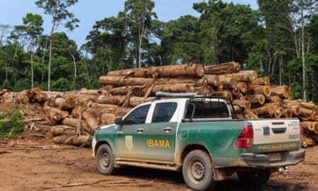 Ibama