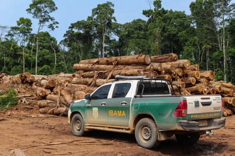 Ibama