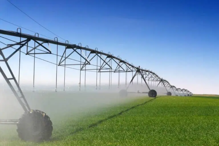 Irrigação plantação