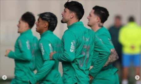 Jogadores do Palmeiras