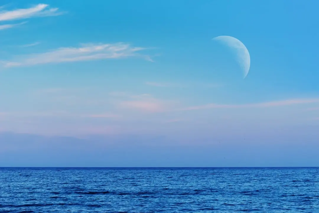 Lua nova