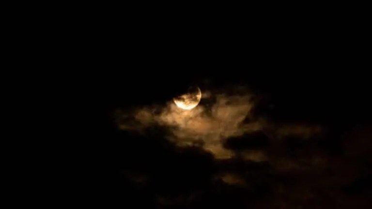 Lua nova
