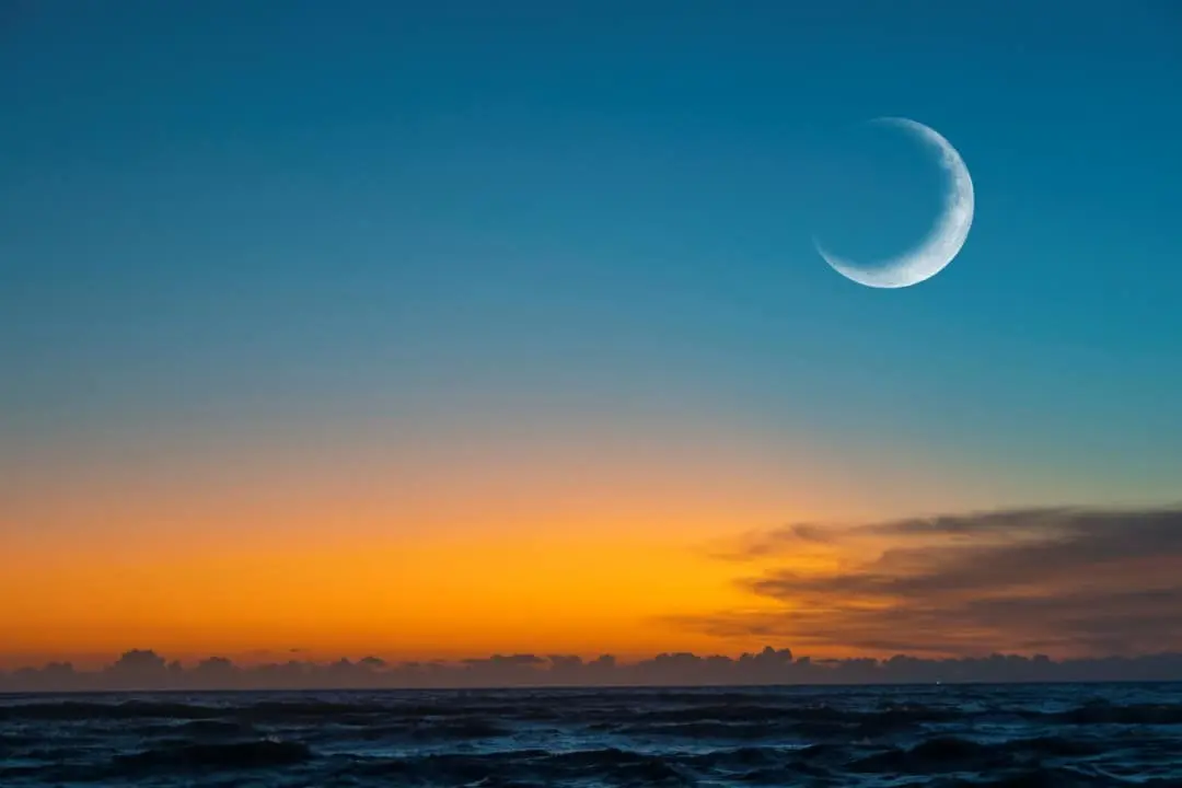 Lua nova