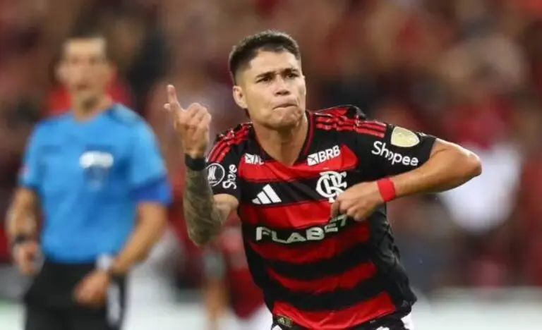 Luiz araujo Flamengo x LDU