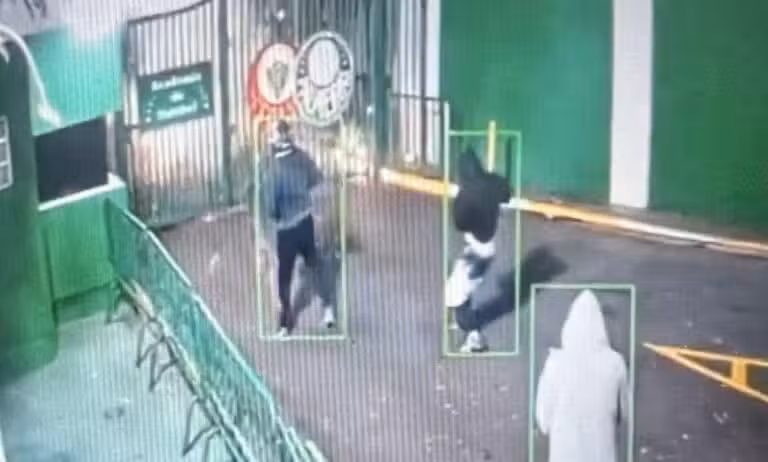 Palmeiras bomba