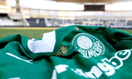 Palmeiras no Nilton santos