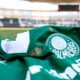 Palmeiras no Nilton santos