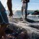 Pescadores