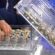Resultados Loterias Caixa agora 29 de agosto de 2025
