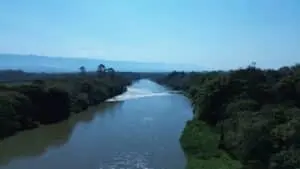 Corpo em decomposição achado às margens do Rio Paraíba, SP