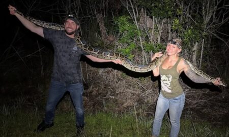 Taylor Stanberry, vencedora da caça às cobras do Desafio Python da Flórida de 2025