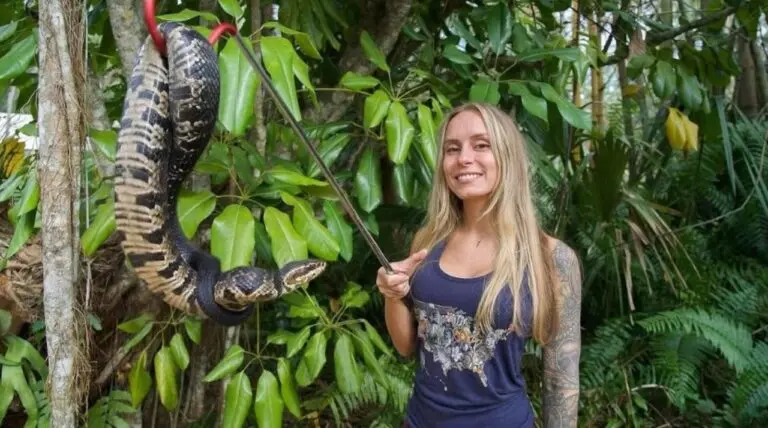 Taylor Stanberry, winner of the 2025 Florida Python Challenge snake hunt