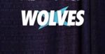 Timberwolves