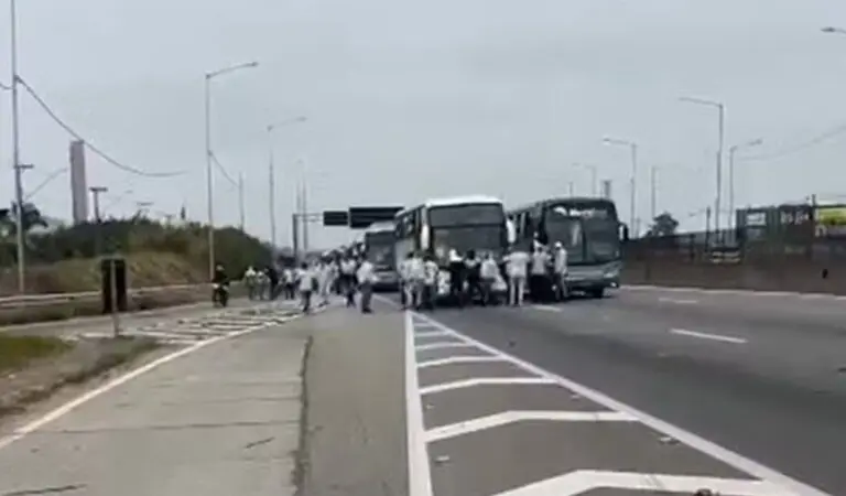 Torcedores do Palmeiras Via dutra
