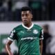 Vanderlan Palmeiras