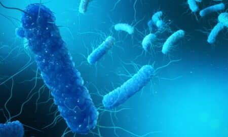Yersinia pestis, uma espécie de bactéria