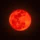 blood moon