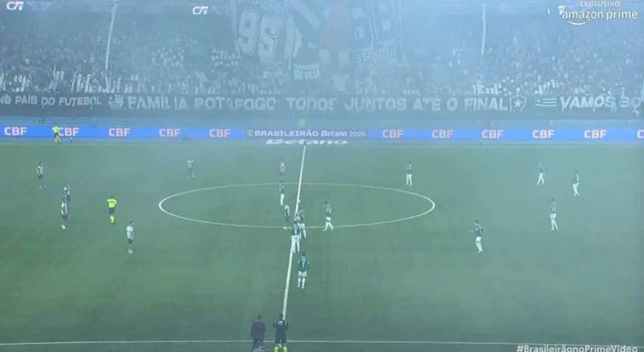 botafogo x palmeiras e fumaça