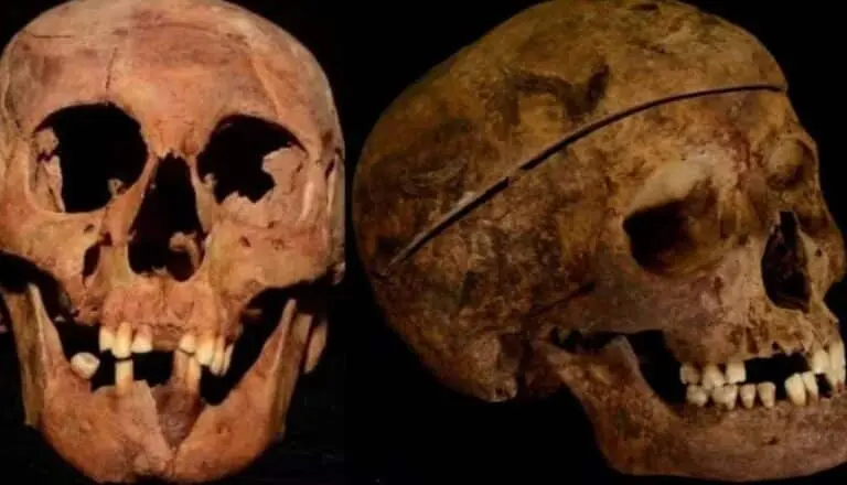 cranios lampeao
