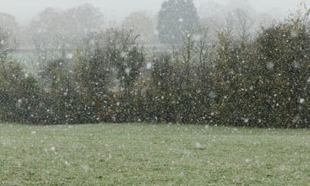 frio, geada, neve
