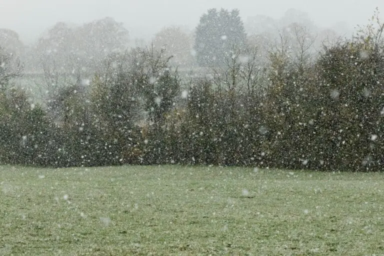 frio, geada, neve