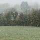 frio, geada, neve