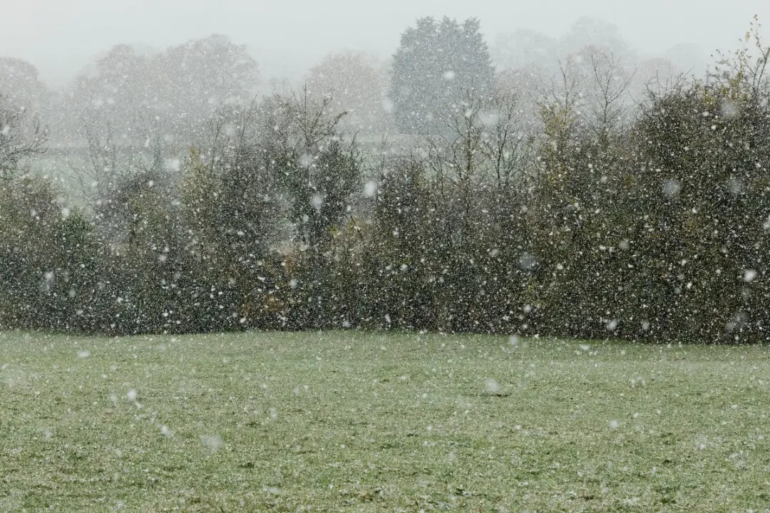 frio, geada, neve