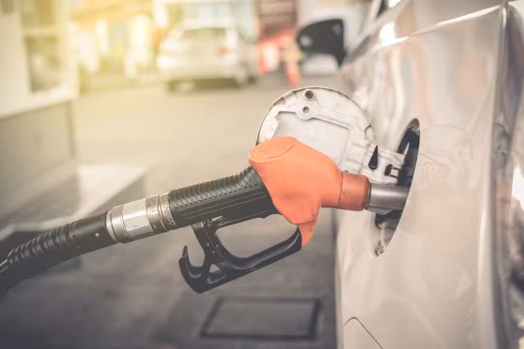 gasolina
