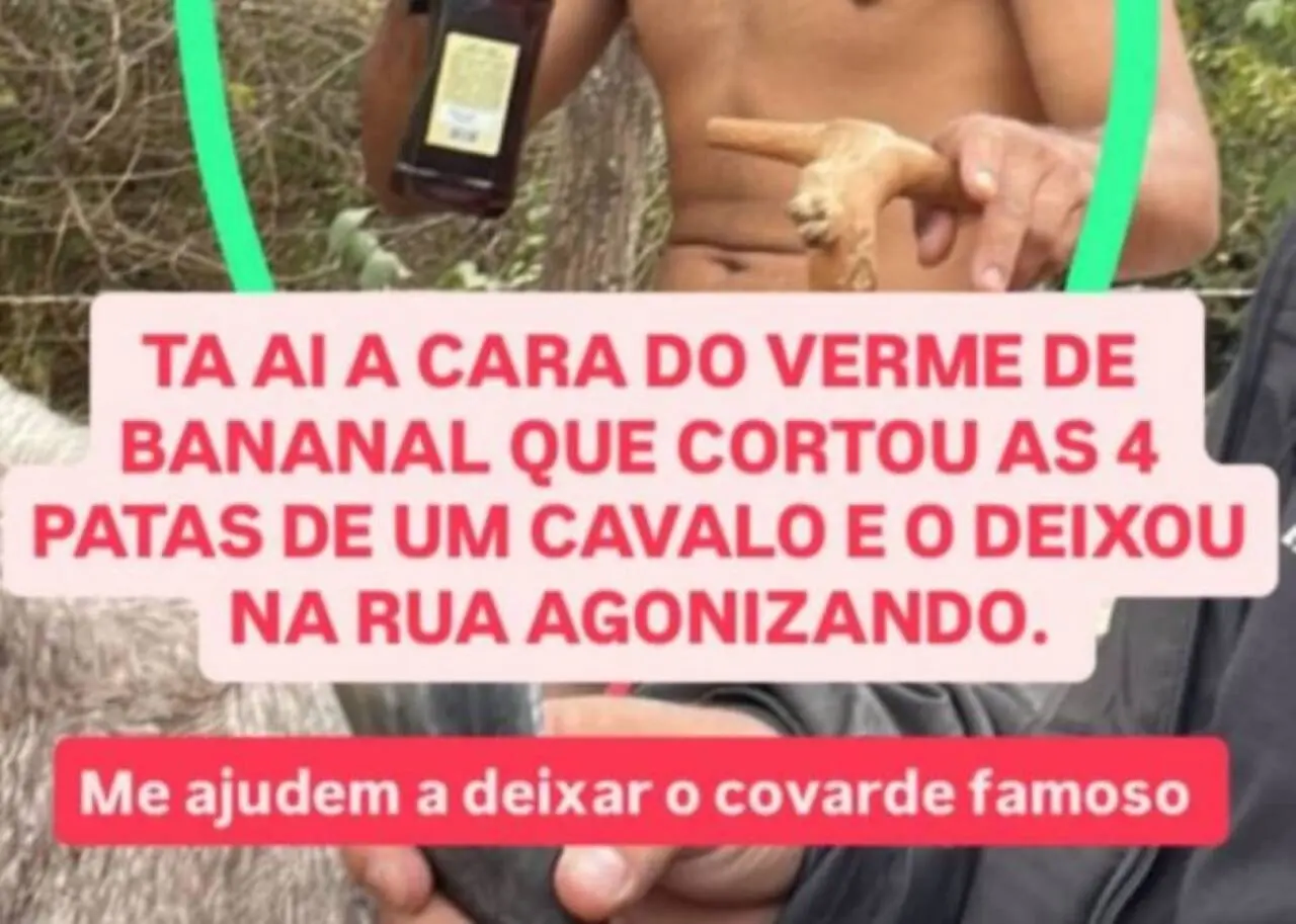 homem corta 4 patas de cavalo