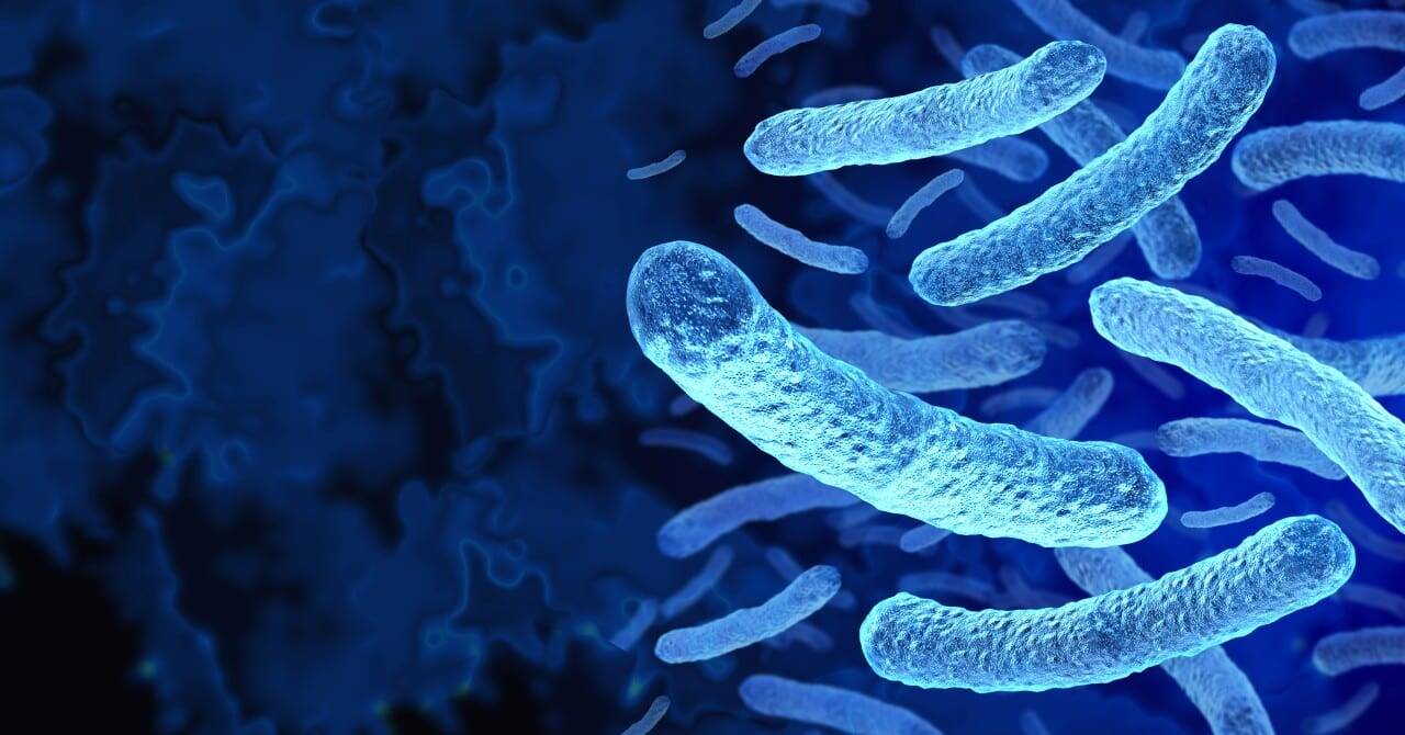 Legionella outbreak in Harlem kills two and infects over 50, health officials warn