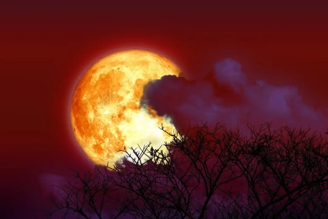 lua do esturjão