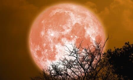 lua do esturjão